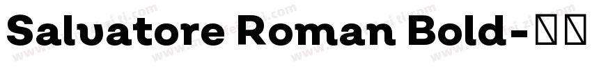 Salvatore Roman Bold字体转换